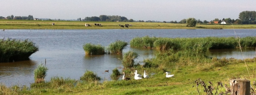 Wandelen langs en door het Groote Gat