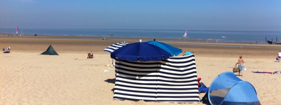 Strand 't Zwin