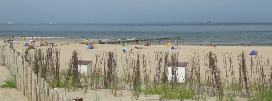 Strand Groese Duintjes