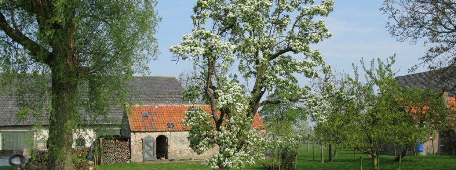 Oude boerderijen