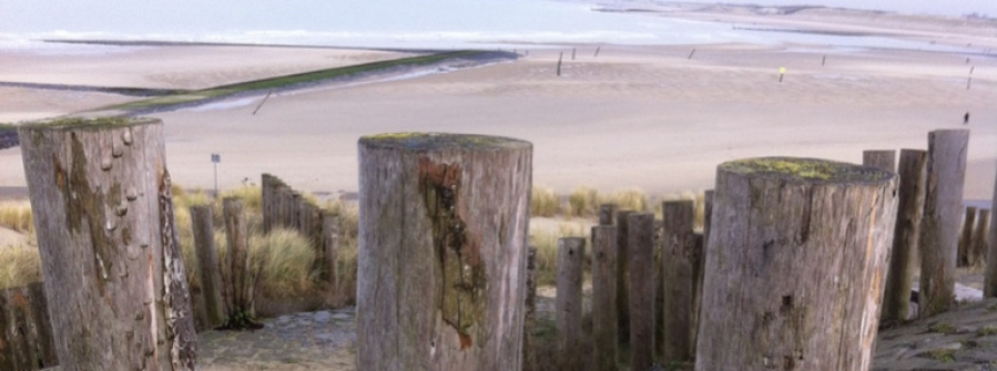 Kijkje tussen de strandpalen