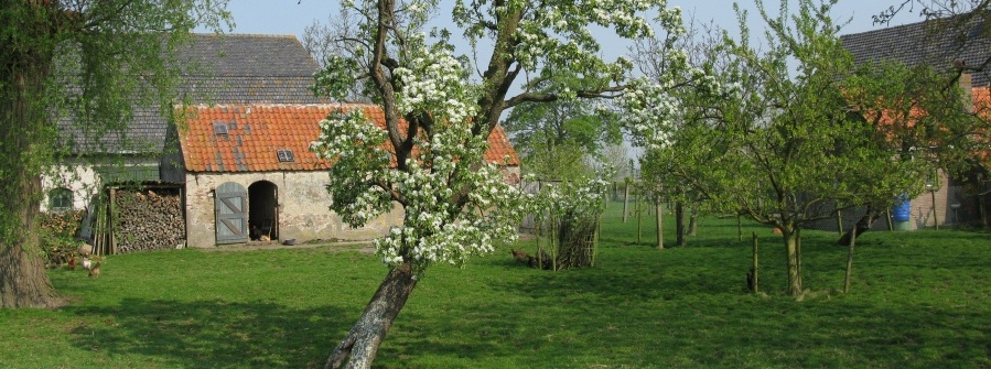 Landelijke omgeving