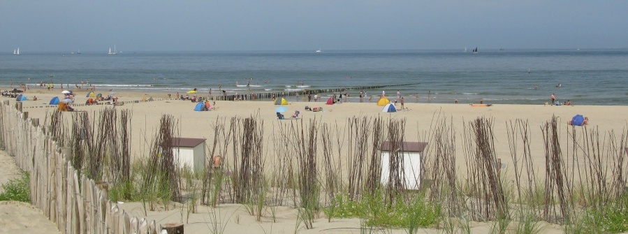 Strand bij Groede