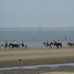 Paardrijden op het strand