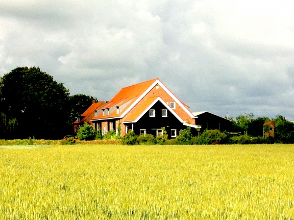 600_img_3238.jpg