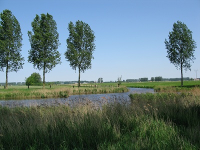 400_img_3238.jpg