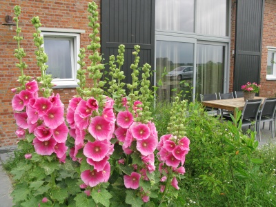 400_img_5434.jpg