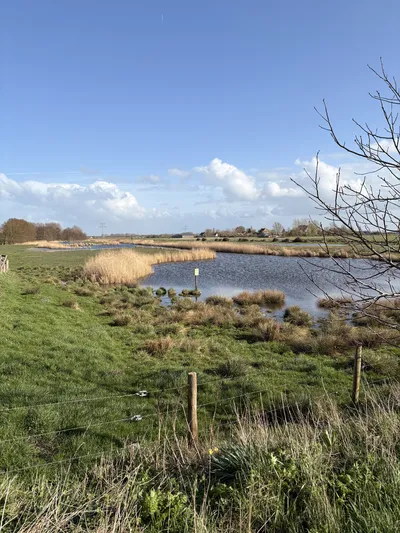 Uitzicht op de kreek