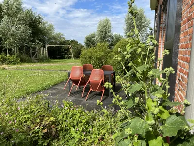Terras in het voorjaar